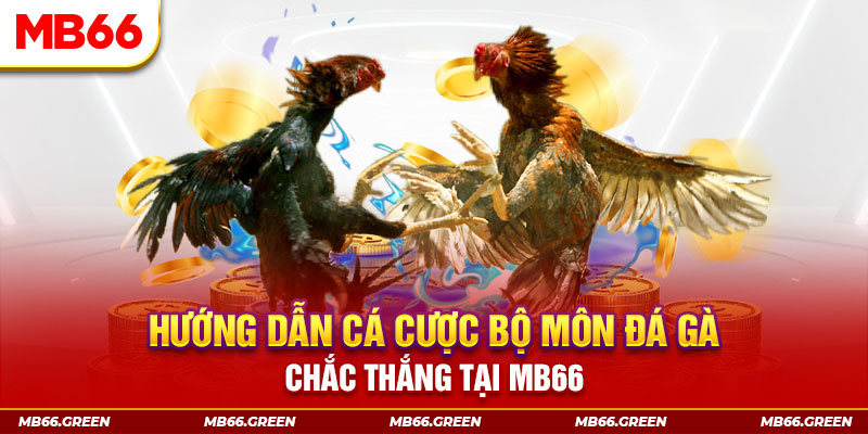 8kbet vip CQ9 Điện Tử