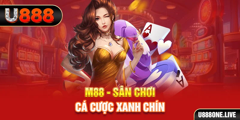 8kbet vip gà chọi cậu thanh