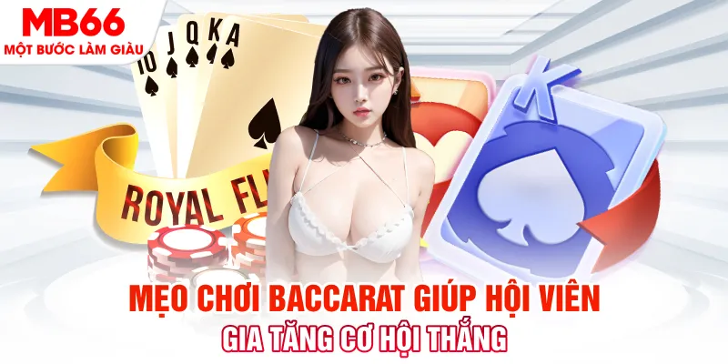 8kbet vip đá gà 88