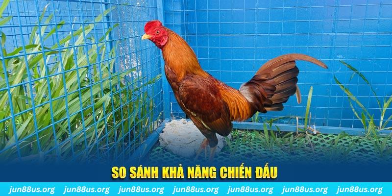 8kbet vip xổ số tiền giang