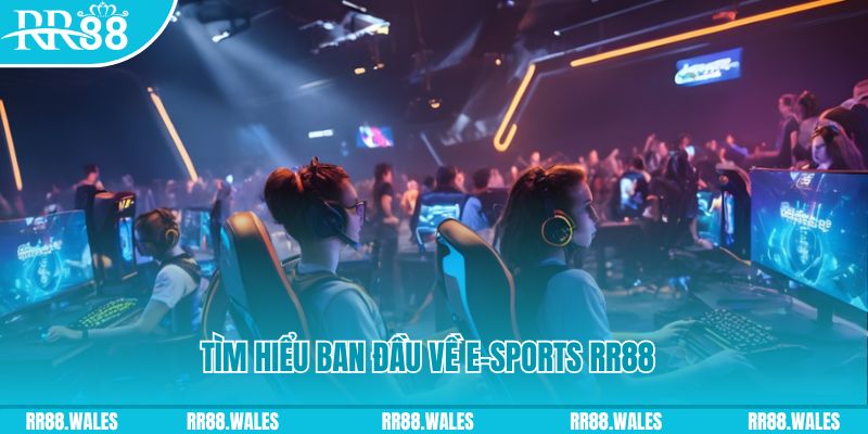 8kbet vip 8 bit khi nào nổ hũ