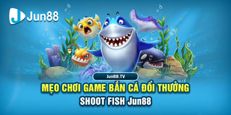 8kbet vip tai game danh bai bigkool ve may tinh