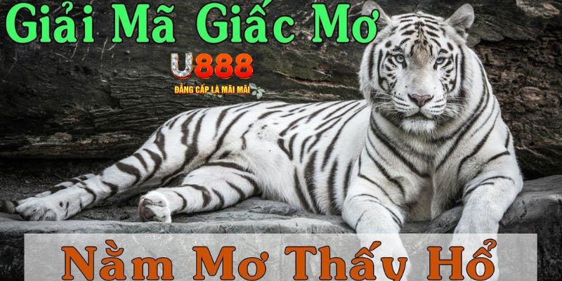 8kbet vip xổ số kiến thiết miền bắc