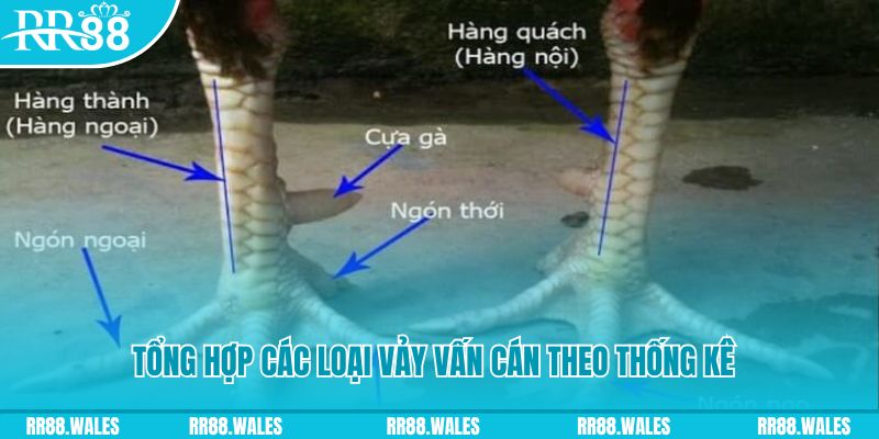 8kbet vip nổ hũ chơi như thế nào