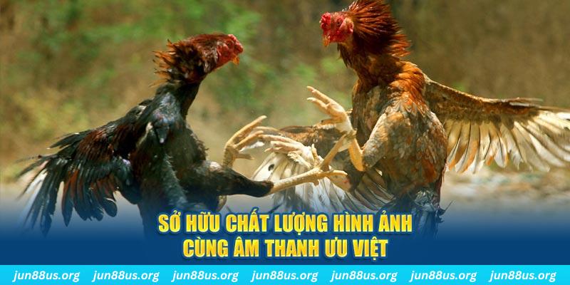 8kbet vip tai game danh bai ve may tinh