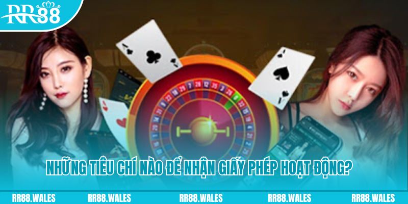 8kbet vip casino ở đâu