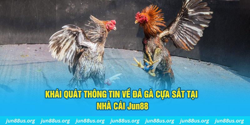 8kbet vip game bài trên máy tính