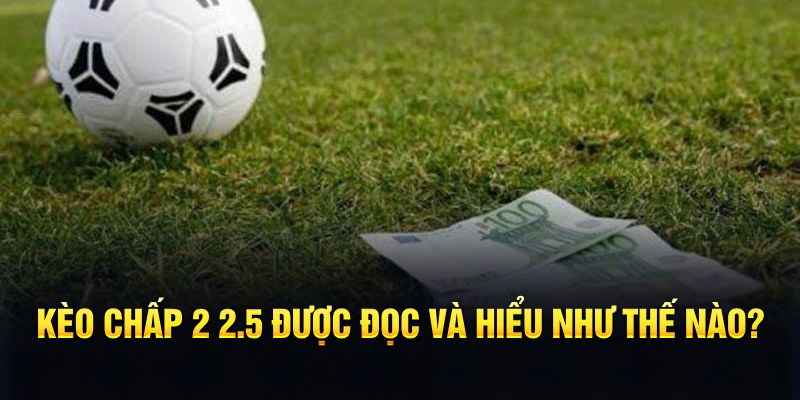 8kbet vip đá gà thomo