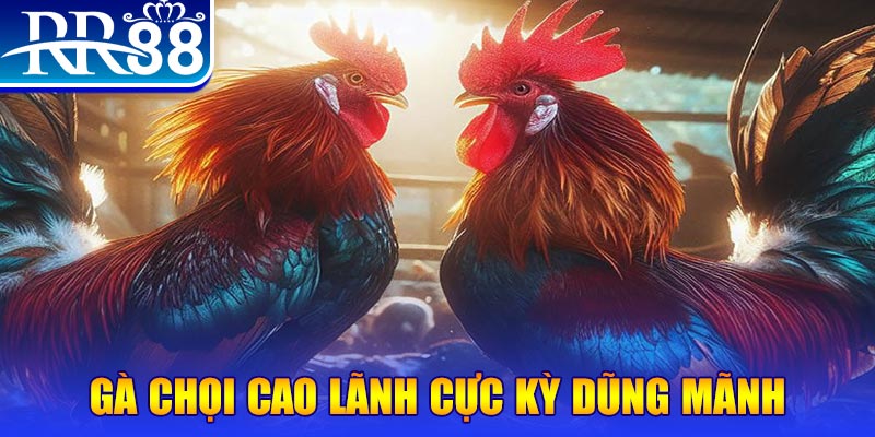 8kbet vip natural” trong baccarat nghĩa là gì？