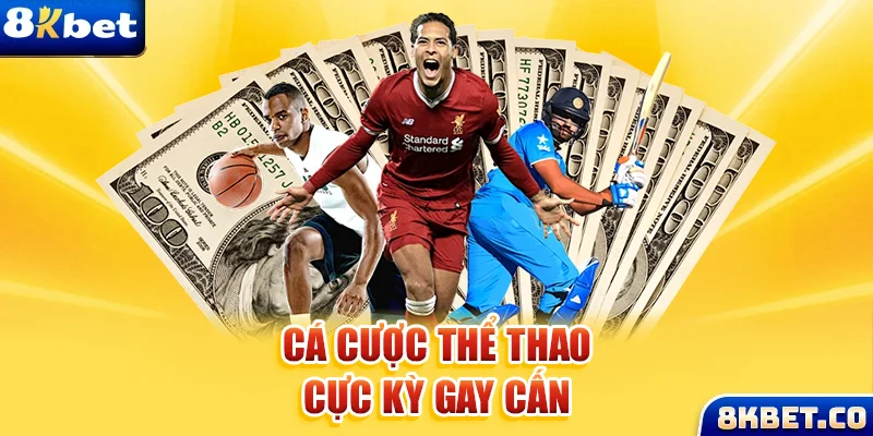8kbet vip Bữa tiệc dành cho thanh thiếu niên